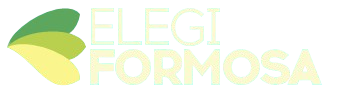 Logo Elegí Formosa
